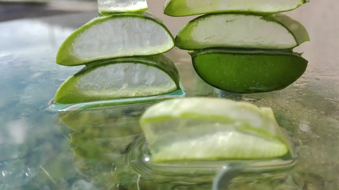 How To Make Aloe Vera Juice