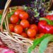 Kitchen Garden