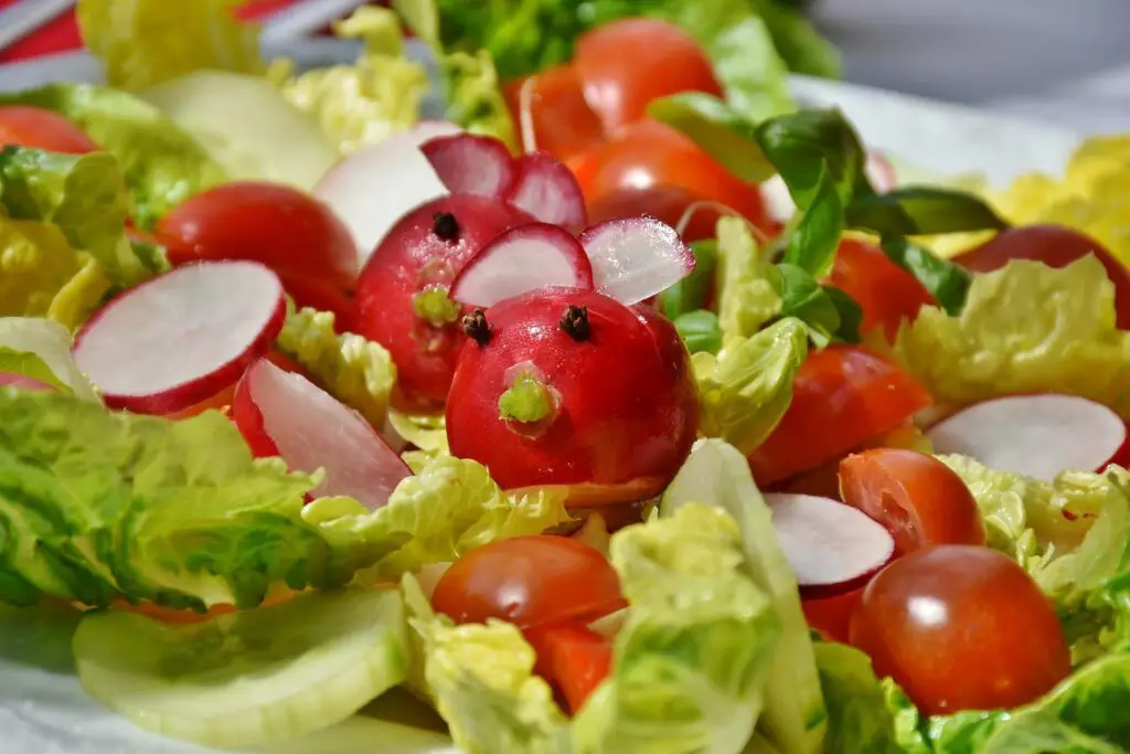 Cucumber Tomato Avocado Salad