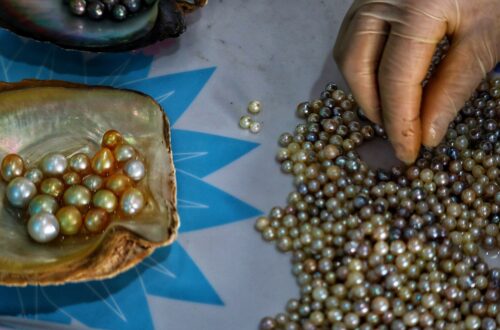 Cultured Pearls Foundation