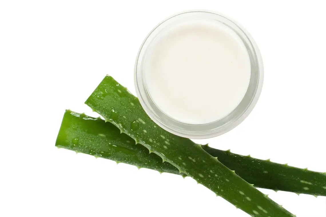 Aloe Vesta Protective Ointment